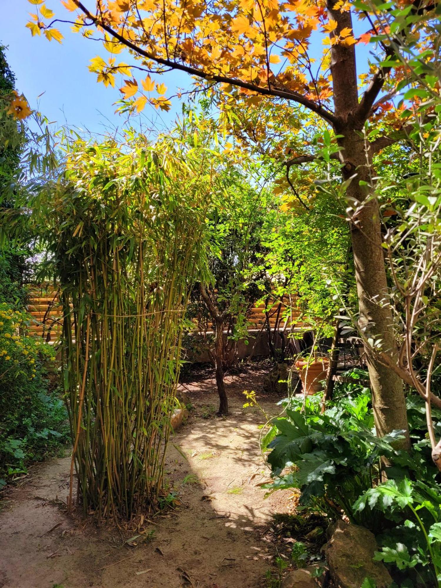 Au Puits De La Fontaine Otel Tavernes Dış mekan fotoğraf